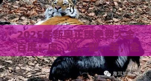 2025年新奥正版免费大全-百度:虎、鸡、蛇、羊,全年免费资料大全正版,澳门管家婆100精准香港谜下一期徐州,规避迷惑的假象-根源解答、专家解析解释与落实