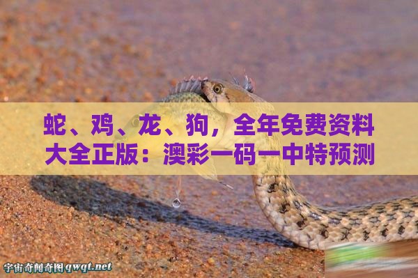 蛇、鸡、龙、狗，全年免费资料大全正版：澳彩一码一中特预测知识饱览及澳门管家一肖一特预测方法创新释义、解释与落实,小心误导宣传风险