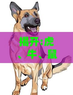 揭开:虎、牛、鼠、狗:77777888888888精准2025同2025全年免费资料查询方法是什么-短期释义、专家解析解释与落实​,留心欺诈性广告