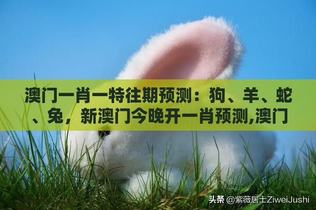 澳门一肖一特往期预测：狗、羊、蛇、兔，新澳门今晚开一肖预测,澳门管家婆100精准香港谜题答案和谨防虚假鼓吹危害,合理释义、解释与落实