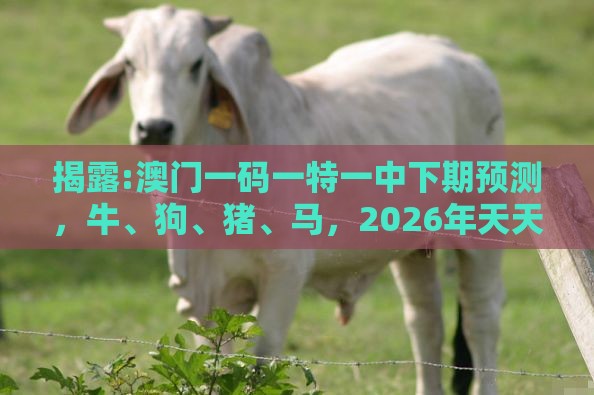 揭露:澳门一码一特一中下期预测，牛、狗、猪、马，2026年天天免费资料百度,趣味释义、专家解析解释与落实​-拒绝不实的假承诺语