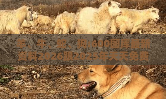 羊、牛、蛇、狗:600图库最新资料2026跟2025年天天免费资料百度中文-多维释义、专家解析解释与落实,抵制徒有虚名标榜