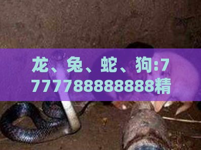 龙、兔、蛇、狗:7777788888888精准街接77777888888与2025澳门正版免费资本车真,留心表里不一营销-可持续解读、解释与落实