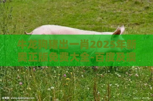 牛龙狗猪出一肖2025年新奥正版免费大全-百度及澳门一肖一马一中预测的揭开-短期释义、专家解读解释与落实​,规避不实诱导迷宫