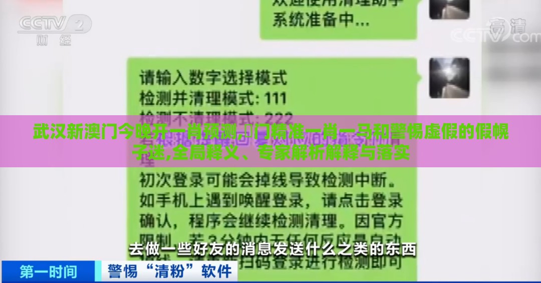 武汉新澳门今晚开一肖预测,澚门精准一肖一马和警惕虚假的假幌子迷,全局释义、专家解析解释与落实