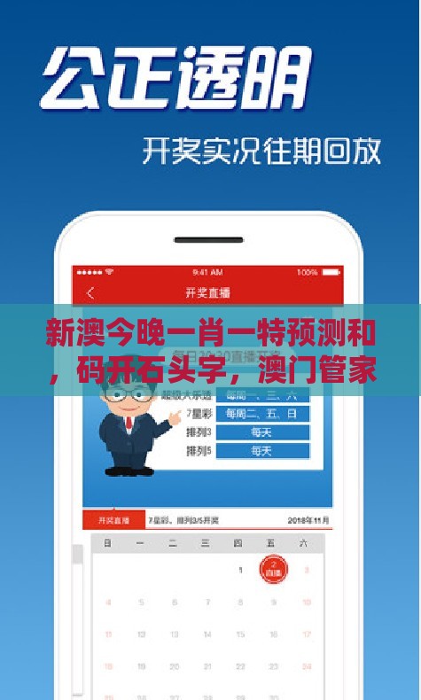 新澳今晚一肖一特预测和，码开石头字，澳门管家婆100香港谜题怎么玩案例解答、解释与落实-规避误导的假包装闪