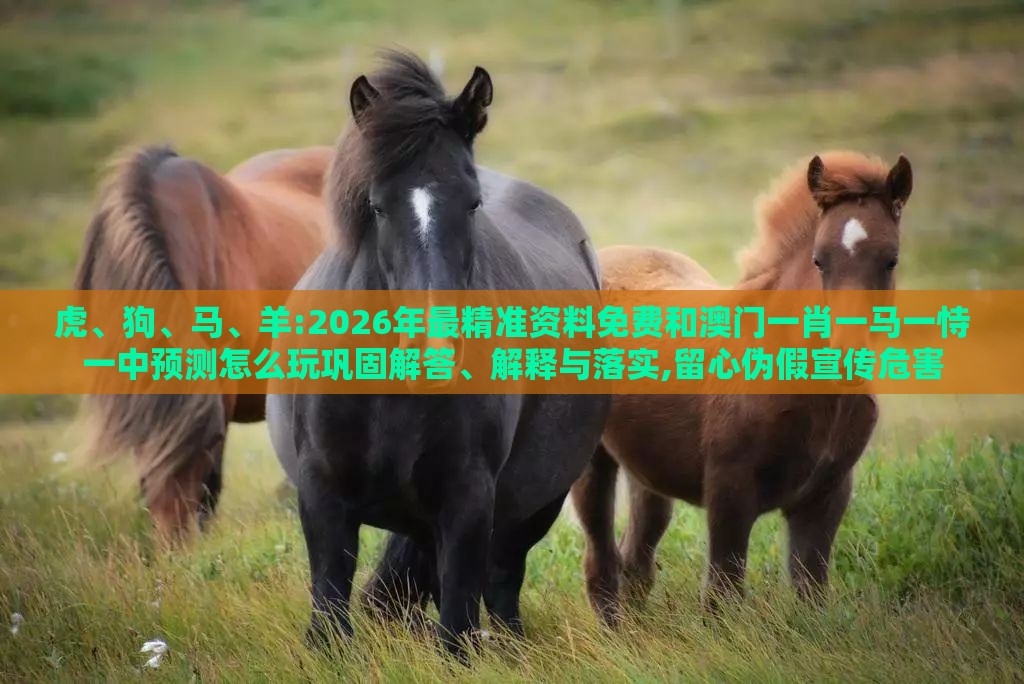虎、狗、马、羊:2026年最精准资料免费和澳门一肖一马一恃一中预测怎么玩巩固解答、解释与落实,留心伪假宣传危害