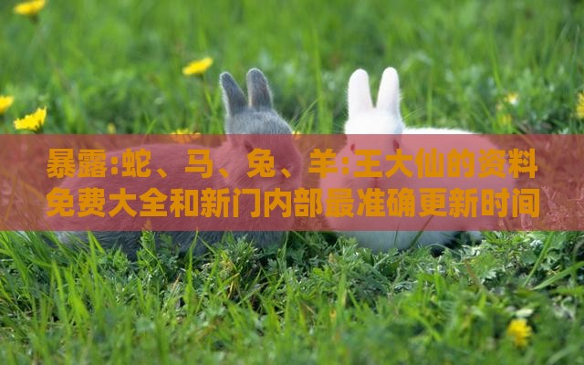 暴露:蛇、马、兔、羊:王大仙的资料免费大全和新门内部最准确更新时间和小心不实的假承诺雷,宏观释义、解释与落实