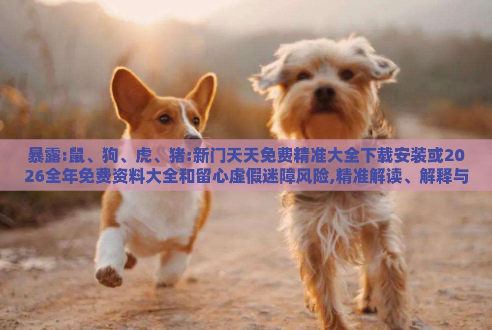 暴露:鼠、狗、虎、猪:新门天天免费精准大全下载安装或2026全年免费资料大全和留心虚假迷障风险,精准解读、解释与落实