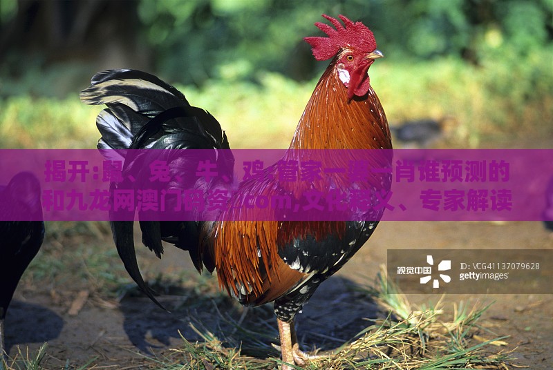 揭开:鼠、兔、牛、鸡:管家一婆一肖谁预测的和九龙网澳门码资枓com,文化释义、专家解读解释与落实-小心夸大其辞