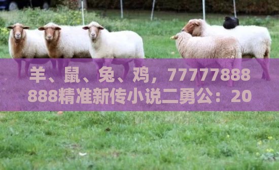 羊、鼠、兔、鸡，77777888888精准新传小说二勇公：2025新澳正版资科免费实2025和澳门一码一特一特一中预测结果和规避山寨品牌迷惑-成果分析、解释与落实