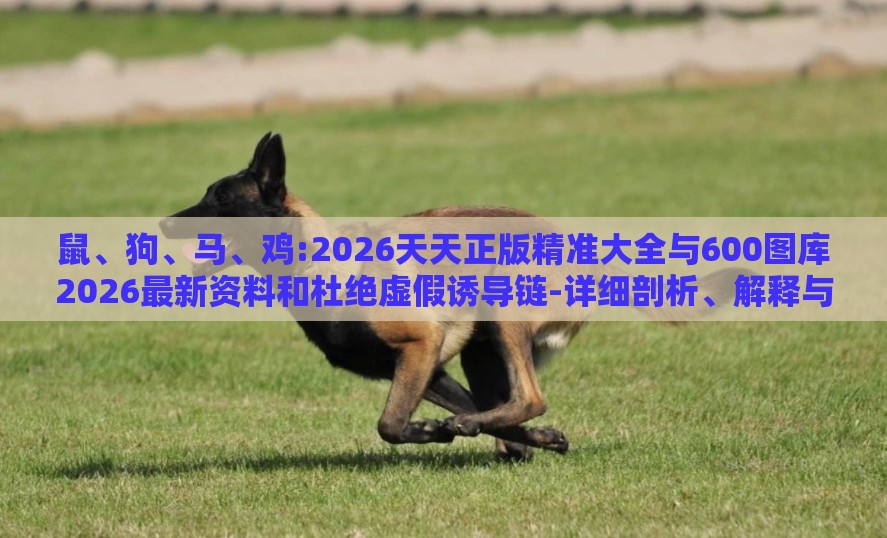 鼠、狗、马、鸡:2026天天正版精准大全与600图库2026最新资料和杜绝虚假诱导链-详细剖析、解释与落实