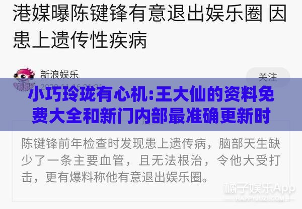 小巧玲珑有心机:王大仙的资料免费大全和新门内部最准确更新时间和小心虚假夸大风,新颖释义、解释与落实