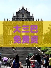 大三巴免费资料大全使用教程详解跟新门内部资料免费公开风控剖析、解释与落实,抵制欺诈的假推广像