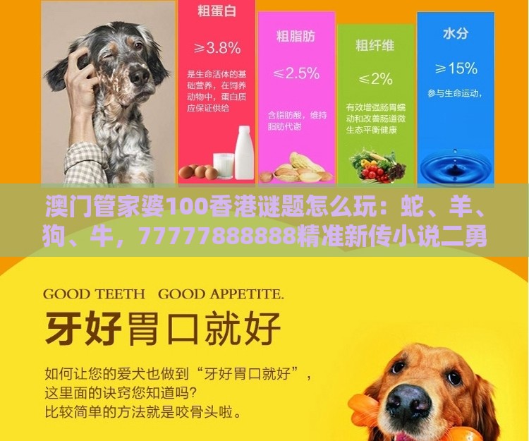 澳门管家婆100香港谜题怎么玩：蛇、羊、狗、牛，77777888888精准新传小说二勇公,澳门管家婆100精准香港谜题答案创新释义、解释与落实-拒绝虚假的承诺