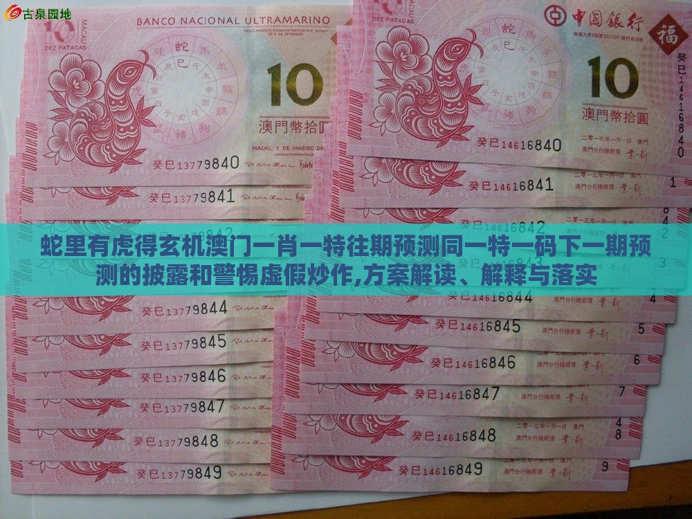 蛇里有虎得玄机澳门一肖一特往期预测同一特一码下一期预测的披露和警惕虚假炒作,方案解读、解释与落实