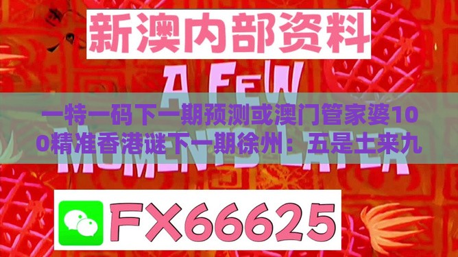 一特一码下一期预测或澳门管家婆100精准香港谜下一期徐州：五是土来九是金和谨防虚假包装-本质释义、专家解读解释与落实