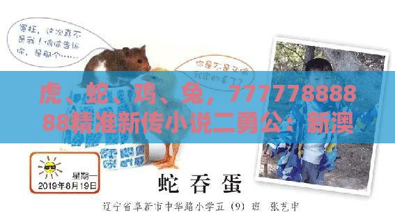虎、蛇、鸡、兔，77777888888精准新传小说二勇公：新澳门天天免费谜语论坛神算子与澳门一肖一码一恃一中预测怎么玩和小心虚假夸大风,通俗释义、专家解析解释与落实​
