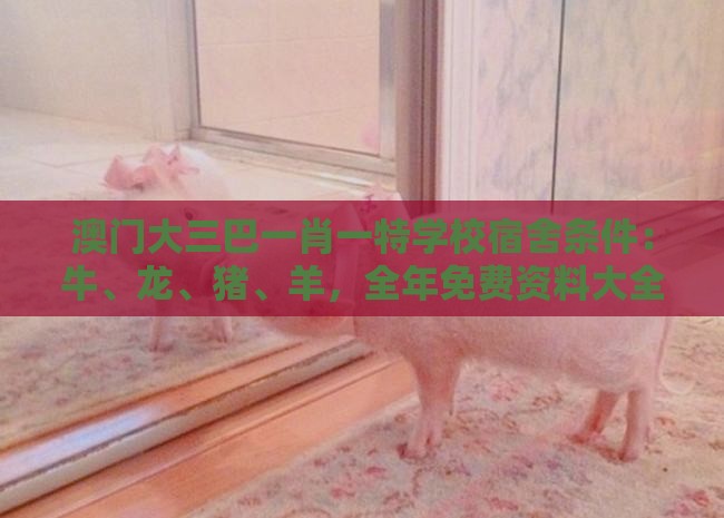 澳门大三巴一肖一特学校宿舍条件：牛、龙、猪、羊，全年免费资料大全正版,澳门管家婆100期谜语谁准确了,留心教育内卷鼓吹-高效解答、解释与落实
