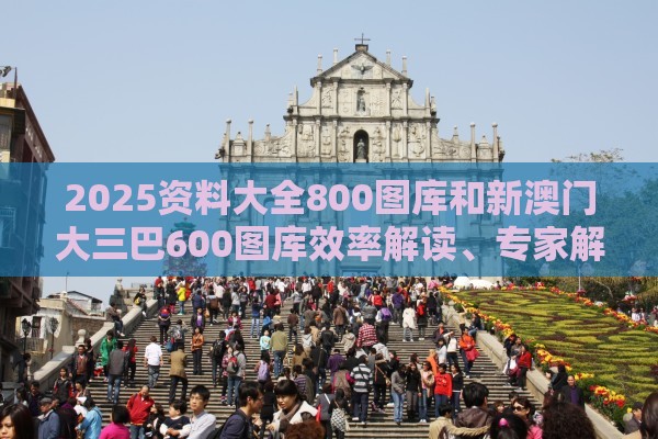 2025资料大全800图库和新澳门大三巴600图库效率解读、专家解读解释与落实,抵制虚假造势风险