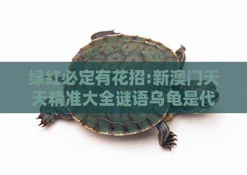 绿红必定有花招:新澳门天天精准大全谜语乌龟是代表与2025年新奥正版免费大全-百度场景解答、解释与落实-留心误导的假宣传单