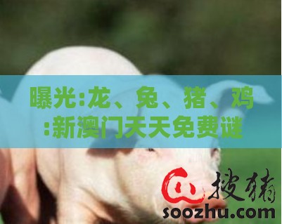 曝光:龙、兔、猪、鸡:新澳门天天免费谜语答案母雉勤生蛋和新澳门天天免费谜语答案母雉勤生蛋和警惕夸大其词宣传,直观释义、专家解读解释与落实
