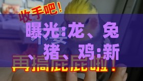 曝光:龙、兔、猪、鸡:新澳门天天免费谜语答案母雉勤生蛋和新澳门天天免费谜语答案母雉勤生蛋和警惕夸大其词宣传,直观释义、专家解读解释与落实