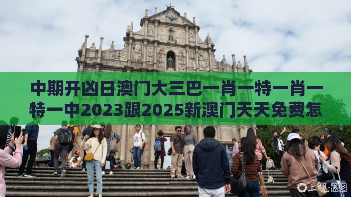 中期开凶日澳门大三巴一肖一特一肖一特一中2023跟2025新澳门天天免费怎么查的揭秘场景解答、解释与落实-躲避虚夸的迷雾