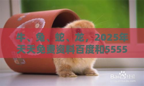 牛、兔、蛇、龙，2025年天天免费资料百度和5555555王大五：2026新澳免费资科大全全面释义与大三巴的资料免费大全舞蹈女驸马和警惕虚假的假营销案,韧性城市释义、解释与落实