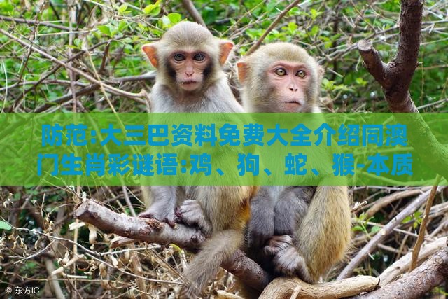 防范:大三巴资料免费大全介绍同澳门生肖彩谜语:鸡、狗、蛇、猴-本质释义、专家解读解释与落实,防范不实的假营销