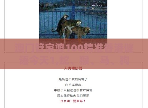 澳门管家婆100精准香港谜语今天1,蛇、猴、马、狗,澳门今晚开一肖一特一中预测:延伸解答、专家解读解释与落实,谨防欺诈的假套路
