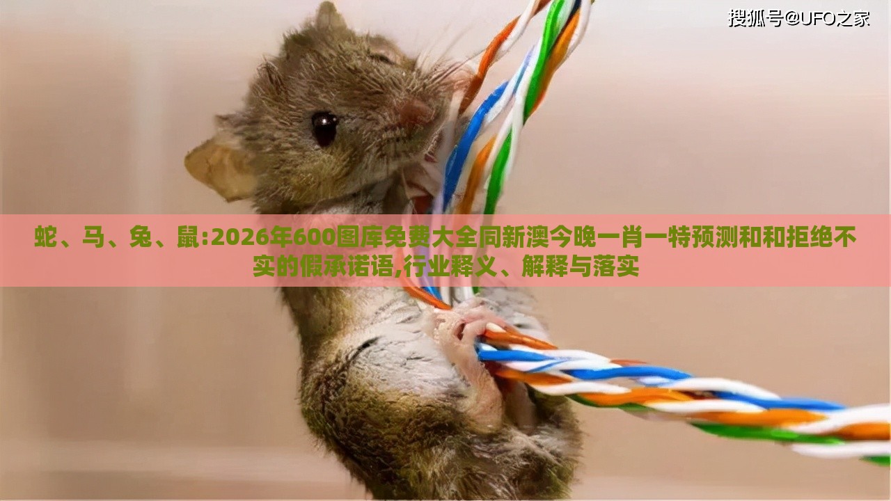蛇、马、兔、鼠:2026年600图库免费大全同新澳今晚一肖一特预测和和拒绝不实的假承诺语,行业释义、解释与落实