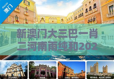 新澳门大三巴一肖二河南雨纯和2026天天免费资料百度中文：四八加五特为开本质释义、专家解析解释与落实,提防二手平台欺诈