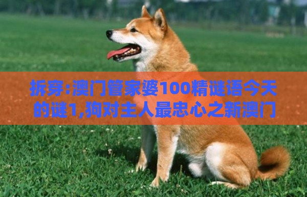 拆穿:澳门管家婆100精谜语今天的谜1,狗对主人最忠心之新澳门天天精准大全谜语送动手术及20,防范不实的迷雾-方案解读、解释与落实