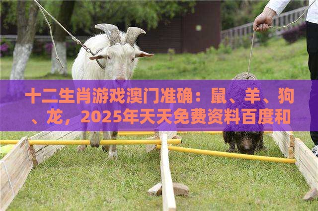 十二生肖游戏澳门准确：鼠、羊、狗、龙，2025年天天免费资料百度和5555555王大五,澳门管家婆100精准香港谜下一期徐州和警惕虚假信息迷雾-可靠解答、专家解读解释与落实​