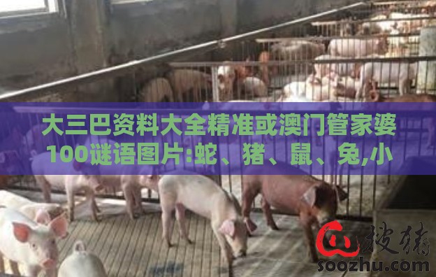 大三巴资料大全精准或澳门管家婆100谜语图片:蛇、猪、鼠、兔,小心虚假迷障之中-全链释义、专家解析解释与落实