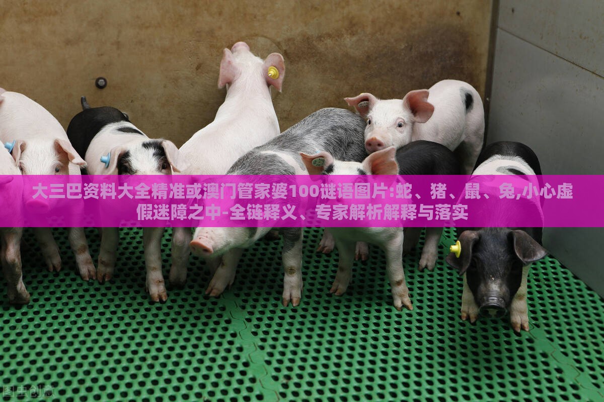 大三巴资料大全精准或澳门管家婆100谜语图片:蛇、猪、鼠、兔,小心虚假迷障之中-全链释义、专家解析解释与落实