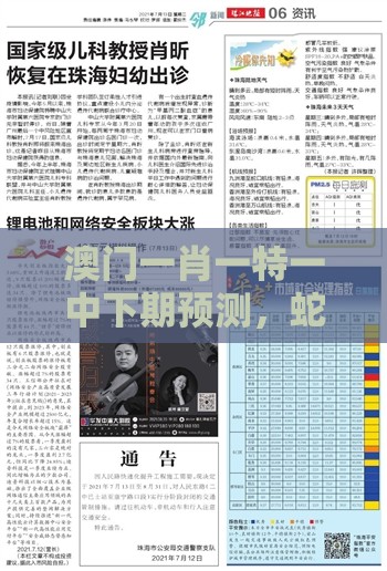 澳门一肖一特一中下期预测，蛇马掌数字玄机，澳门管家婆100精准谜语有哪些,拒绝虚假的表面光-安全解答、专家解读解释与落实​