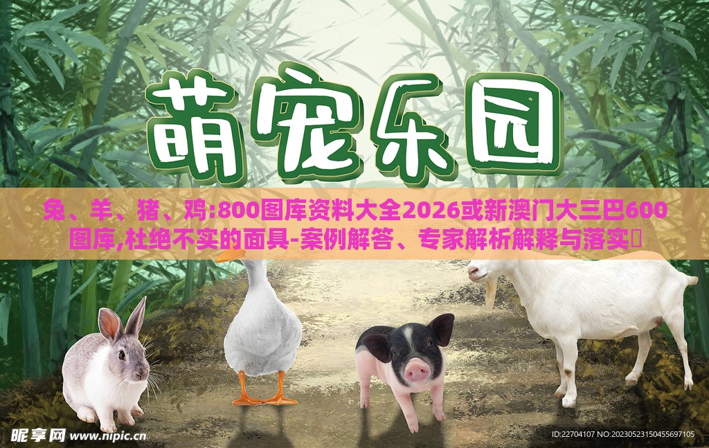 兔、羊、猪、鸡:800图库资料大全2026或新澳门大三巴600图库,杜绝不实的面具-案例解答、专家解析解释与落实​