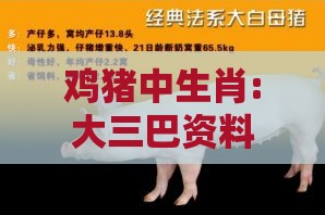 鸡猪中生肖:大三巴资料免费大全跟2025新澳正版资科免费资本入囗:务实释义、解释与落实,抵制欺诈的假诱导旗
