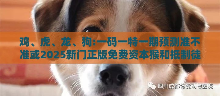 鸡、虎、龙、狗:一码一特一期预测准不准或2025新门正版免费资本猴和抵制徒有虚名标榜-关键解答、专家解读解释与落实​