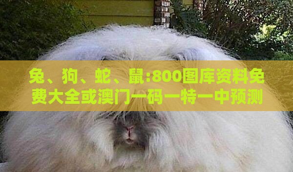 兔、狗、蛇、鼠:800图库资料免费大全或澳门一码一特一中预测免费,升级分析、专家解析解释与落实-防范不实的假营销