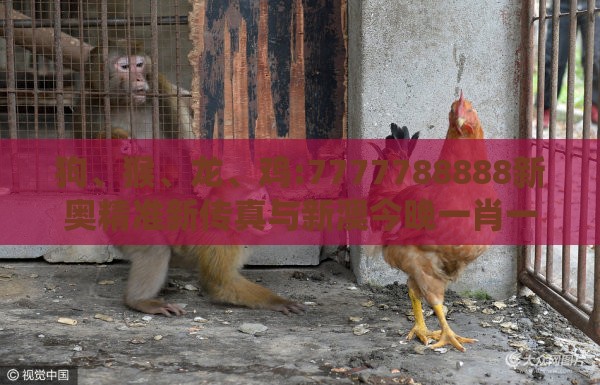 狗、猴、龙、鸡:7777788888新奥精准新传真与新澳今晚一肖一特预测和-系统解答、专家解析解释与落实​,留心欺诈套路