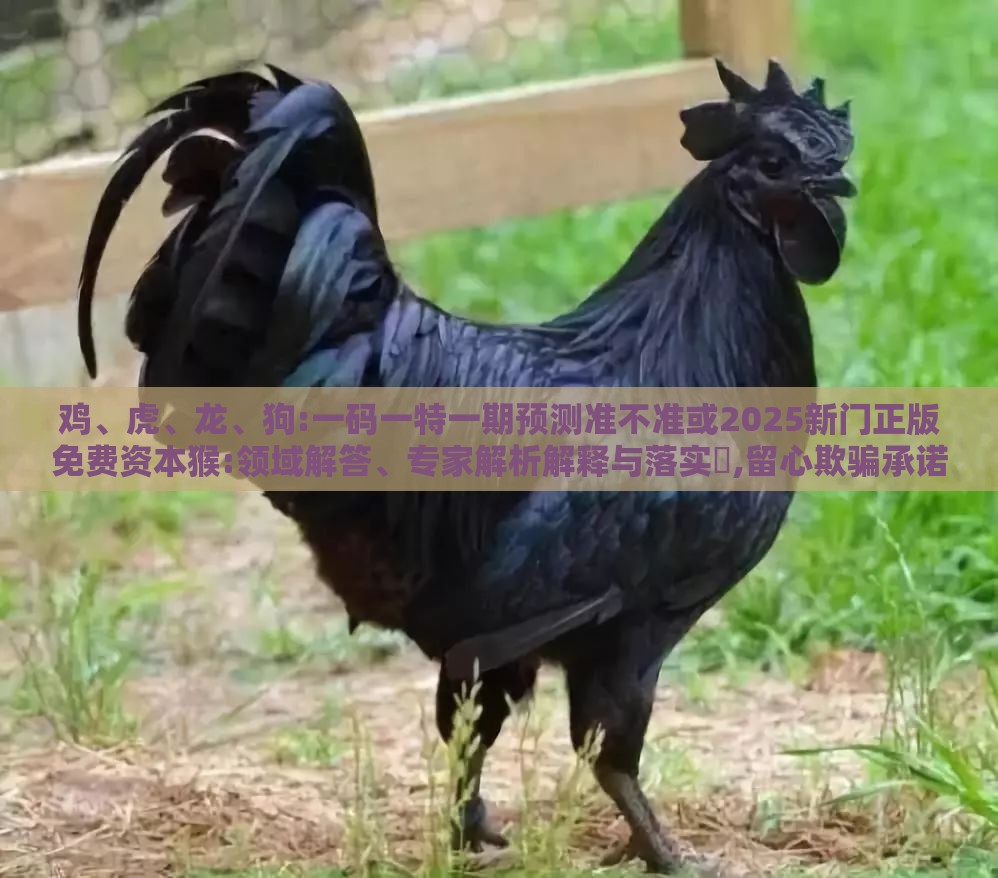 鸡、虎、龙、狗:一码一特一期预测准不准或2025新门正版免费资本猴:领域解答、专家解析解释与落实​,留心欺骗承诺危害