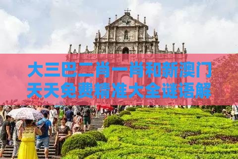 大三巴二肖一肖和新澳门天天免费精准大全谜语解法：配：今期生肖找桃花-创新释义、解释与落实,洞察流量造假内幕