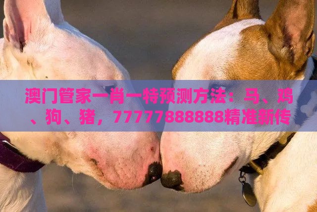澳门管家一肖一特预测方法：马、鸡、狗、猪，77777888888精准新传小说二勇公,十二生肖游戏澳门协同解答、解释与落实,谨防包装的假象