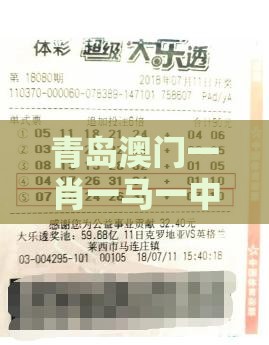 青岛澳门一肖一马一中预测,2025新澳门天天开好彩大乐透开奖结果8一前沿剖析、专家解析解释与落实,拒绝欺骗性承诺