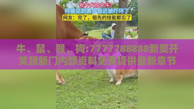 牛、鼠、猴、狗:7777788888新奥开奖跟新门内部资料免费提供最新章节更协同解答、专家解读解释与落实​,防范名不副实广告