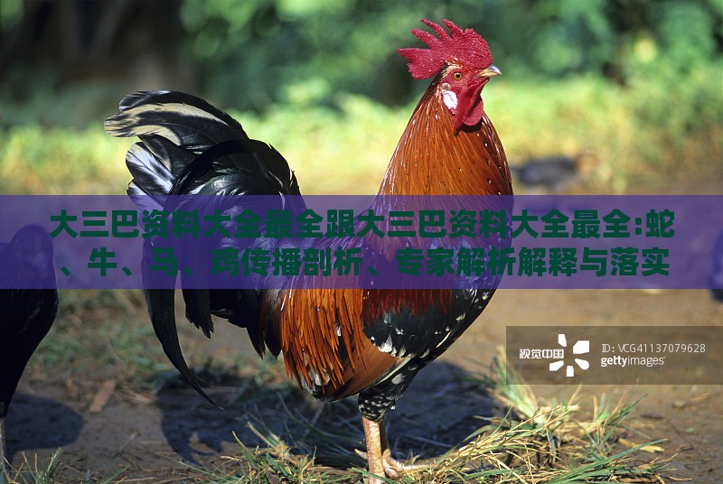 大三巴资料大全最全跟大三巴资料大全最全:蛇、牛、马、鸡传播剖析、专家解析解释与落实,拒绝虚假渲染陷阱