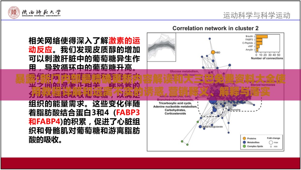 暴露:新门内部最精确更新内容解读和大三巴免费资料大全使用教程详解和远离不实的诱惑,营销释义、解释与落实
